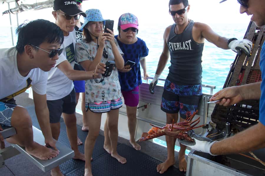 Kalbarri Crayfish Catch & Keep Tour - How much value do you get for $60?