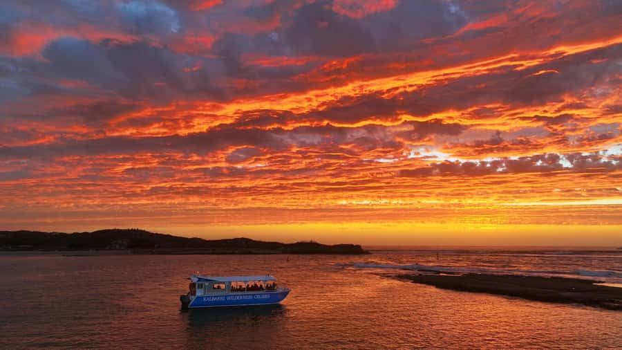 Kalbarri: Murchison River Wilderness Wildlife Cruise - Key points to know before you go