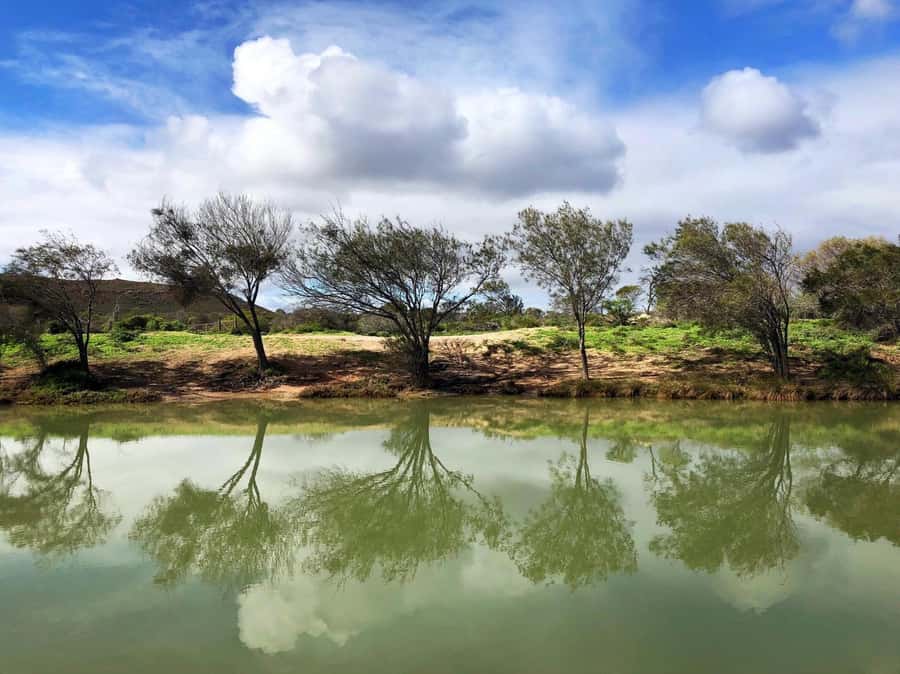 Kalbarri: Murchison River Wilderness Wildlife Cruise - Who will enjoy this cruise most