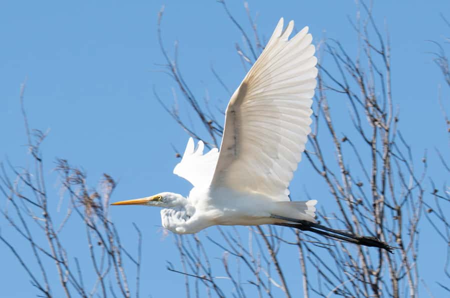 Kalbarri: Murchison River Wilderness Wildlife Cruise - What $49 gets you