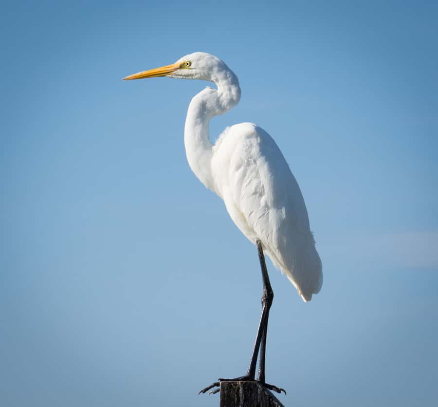 Kalbarri: Murchison River Wilderness Wildlife Cruise - Practical timing and boarding advice