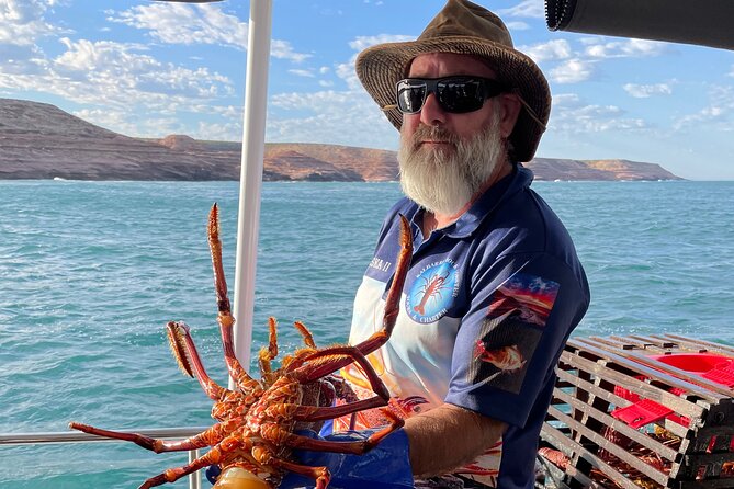 Kalbarri Rock Lobster Tours - Is the $86.07 price good value?