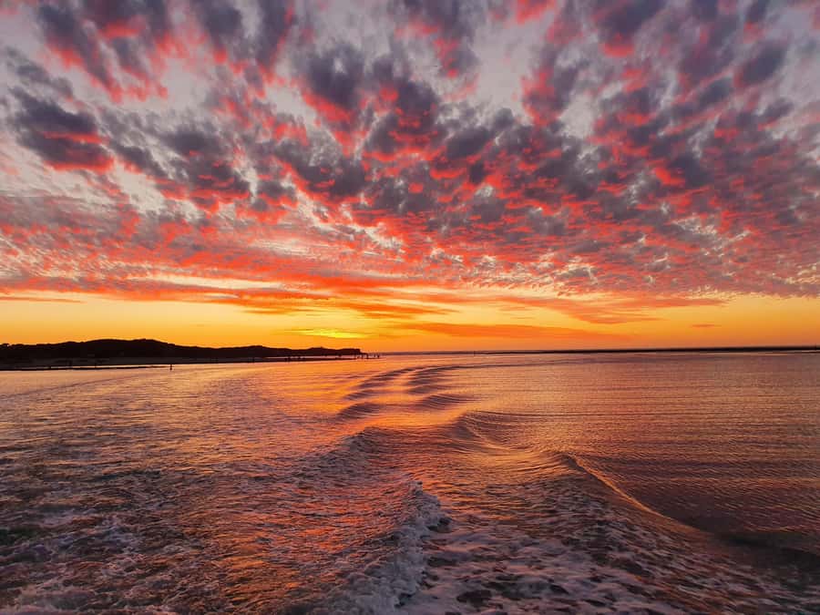 Kalbarri Sunset Coastal Cliff Cruise - Wildlife is a bonus, not the promise