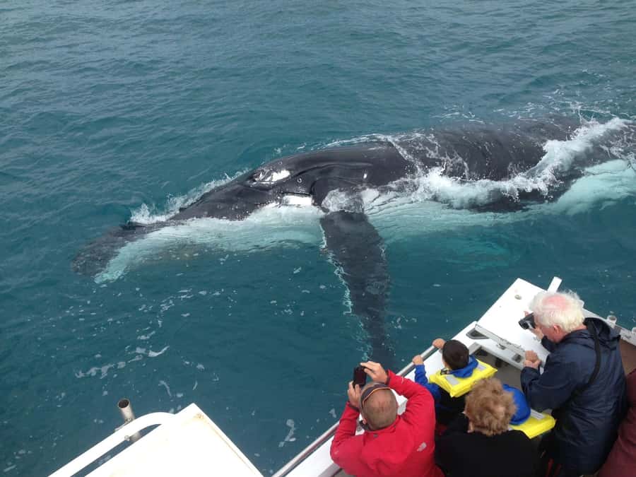 Kalbarri Whale Watching Tour - Boarding at Kalbarri Maritime Facility
