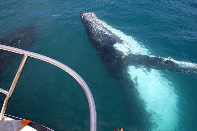 Kalbarri Whale Watching Tour Guided - Boarding at Kalbarri Maritime Facility