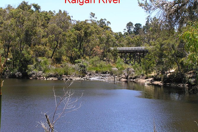 Kalgan Queen Scenic Cruises a four hour sheltered water wildlife tour daily fun. - Who will enjoy this Albany cruise?