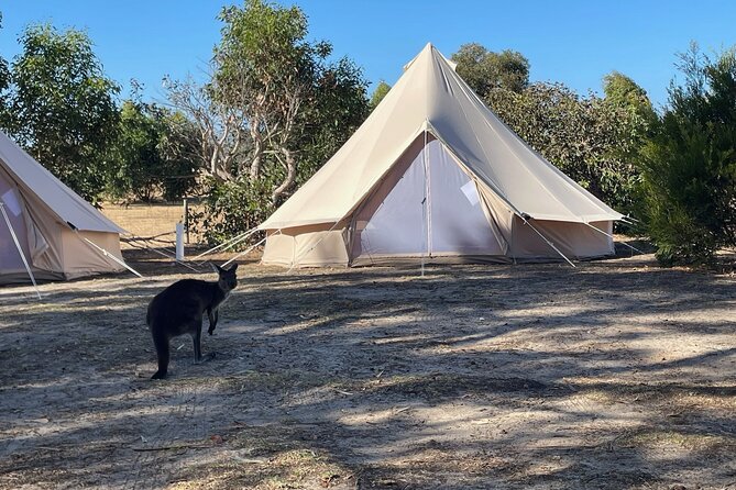Kangaroo Island 2-Day Wildlife Adventure Small Group tour - Why two days is the right amount of time
