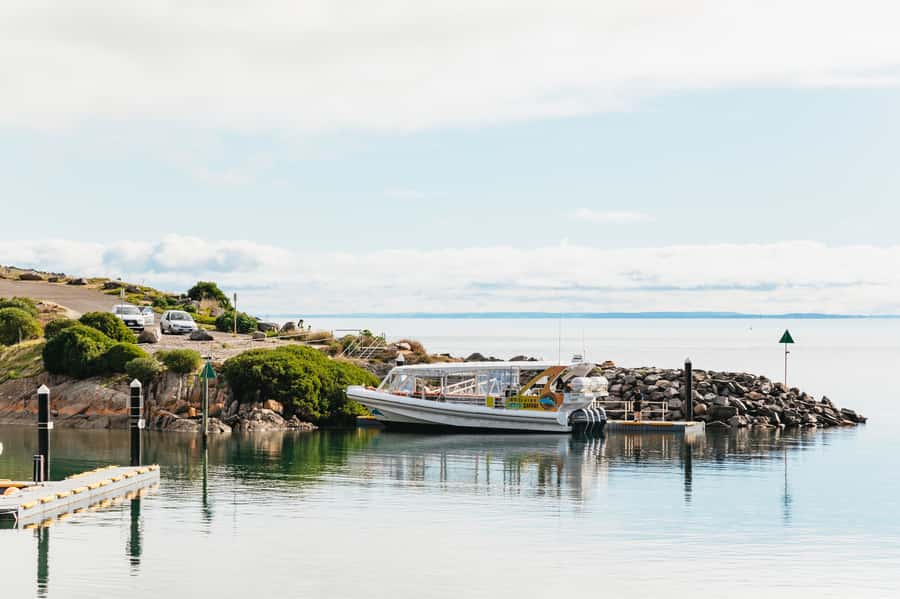 Kangaroo Island: 75-Minute Coastal Safari - Booking Flexibility and Practical Details