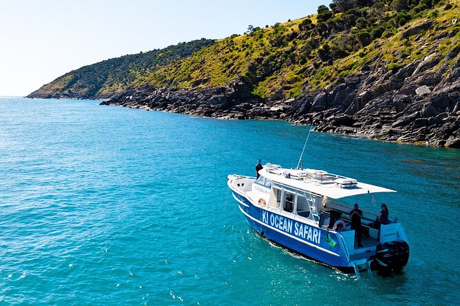Kangaroo Island 75-Minute Coastal Safari - Cruising the Kangaroo Island coast