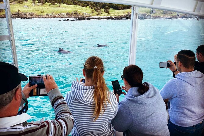 Kangaroo Island 75-Minute Coastal Safari - Seals, birds, and the quieter sightings