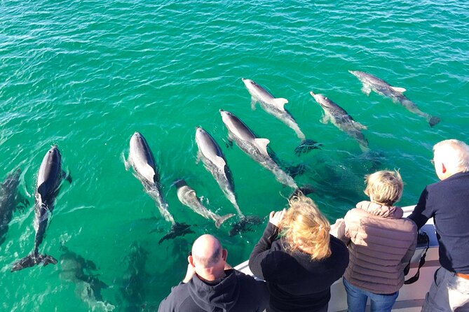 Kangaroo Island: 75-Minute Coastal Safari - The First Coastal Run