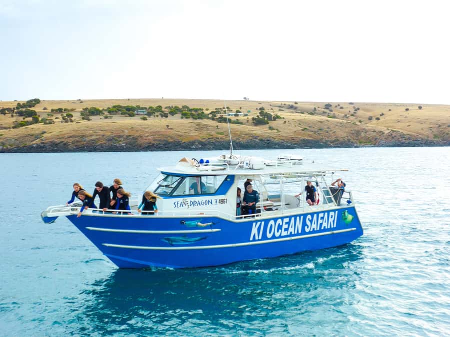 Kangaroo Island: Dolphin, Seal, and Swimming Boat Tour - Key points to know before you book