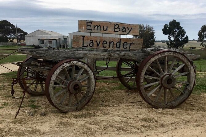 Kangaroo Island Half Day Tasting Tour - Key points at a glance