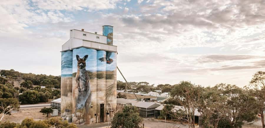 Kangaroo Island: Half-Day Tour Guided Coach Tour - One hour in Kingscote, Kangaroo Island’s largest town