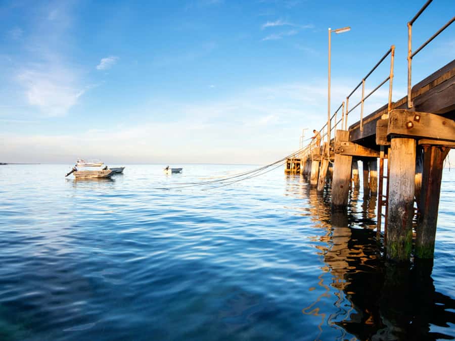 Kangaroo Island: Half-Day Tour Guided Coach Tour - Pennington Bay and the final coastal view
