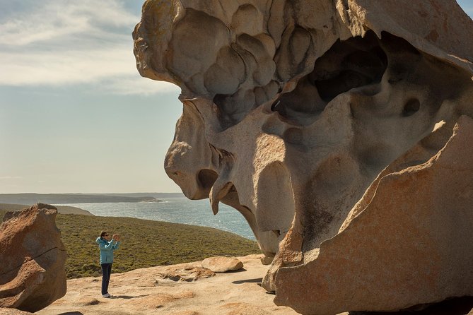 Kangaroo Island in a Day Tour from Adelaide - Why this Kangaroo Island day trip works