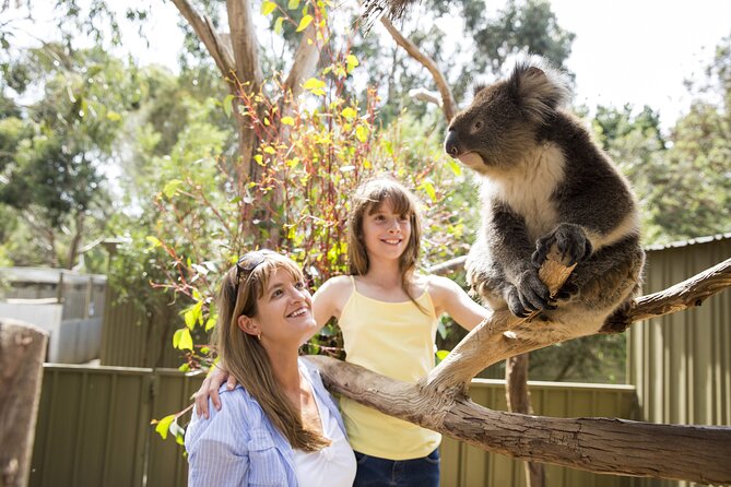 Kangaroo Island in a Day Tour from Adelaide - Lunch, snacks, and the late return