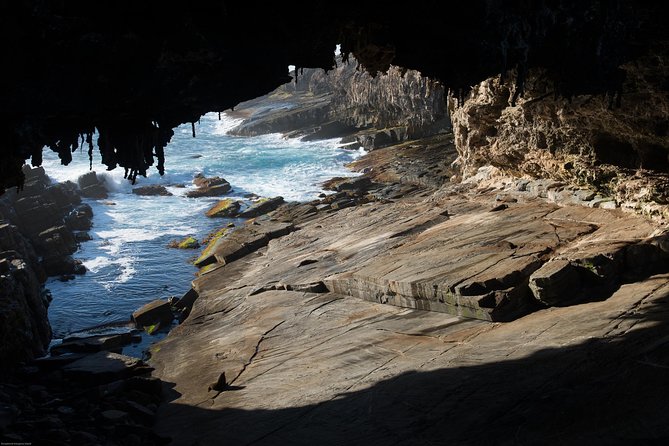 Kangaroo Island Luxury Small Group 'Flinders Chase Focus' Full Day Tour - Starting at Kingscote Airport at 9:00 am