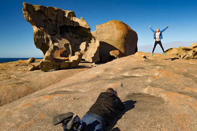 Kangaroo Island Luxury Small Group 'Flinders Chase Focus' Full Day Tour - Admirals Arch and the fur seals