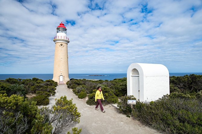 Kangaroo Island Luxury Small Group 'Flinders Chase Focus' Full Day Tour - Remarkable Rocks and the ocean views