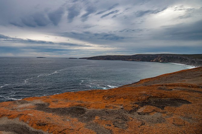 Kangaroo Island Luxury Small Group 'Flinders Chase Focus' Full Day Tour - Lunch in a natural bush setting