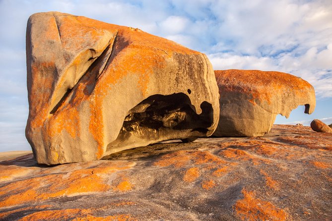 Kangaroo Island Luxury Small Group 'Flinders Chase Focus' Full Day Tour - What the $453.30 price includes
