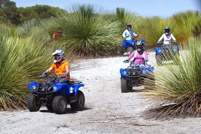 Kangaroo Island Quad Bike (ATV) Tours - Why the small group size improves the ride