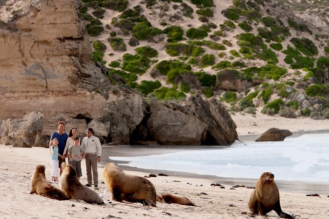 Kangaroo Island Scenic Nature and Wildlife Day Tour - Why this eight-hour route works on Kangaroo Island