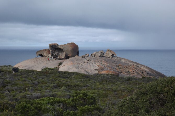 Kangaroo Island Scenic Nature and Wildlife Day Tour - Flinders Chase brings three major sights together