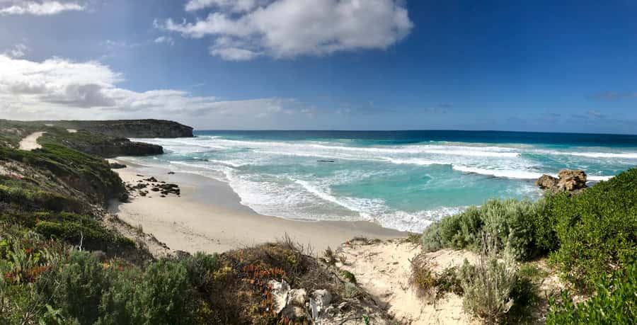 Kangaroo Island: Scenic, Nature & Wildlife Tour - Why this Kangaroo Island day works so well
