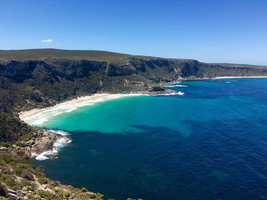 Kangaroo Island: Scenic, Nature & Wildlife Tour - Seal Bay and the sea lion colony