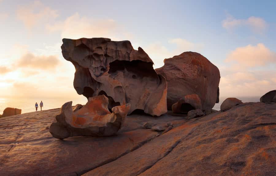 Kangaroo Island: Scenic, Nature & Wildlife Tour - Admirals Arch and Weirs Cove on the wild coast