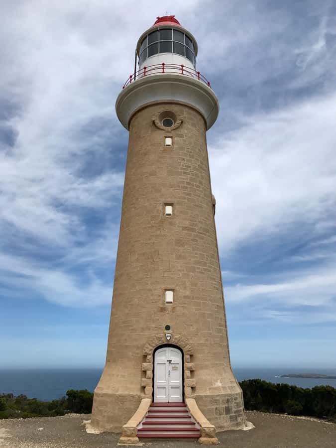 Kangaroo Island: Scenic, Nature & Wildlife Tour - The wildlife search is more than a checklist