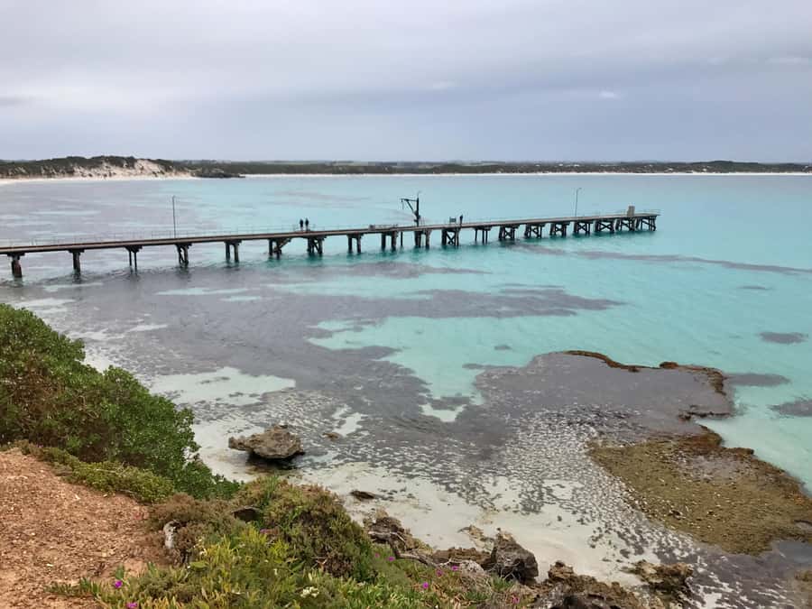Kangaroo Island: Scenic, Nature & Wildlife Tour - Meeting the guide at the ferry or hotel