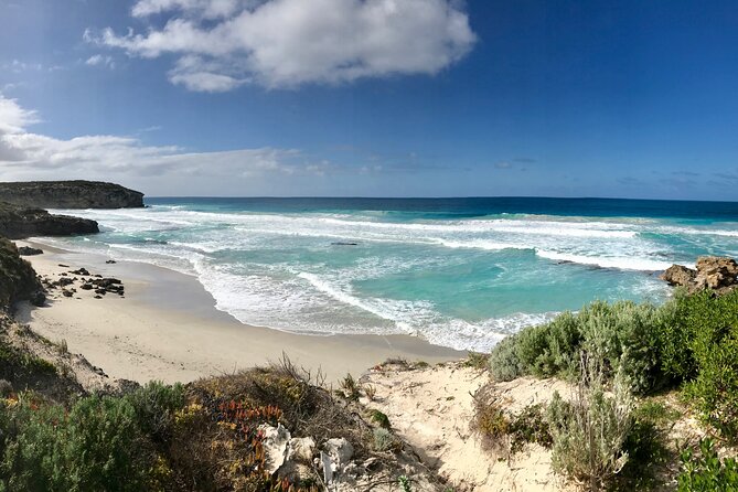 Kangaroo Island Shore Excursion Scenic Trail Tour - Wildlife sightings are a bonus, not a guarantee