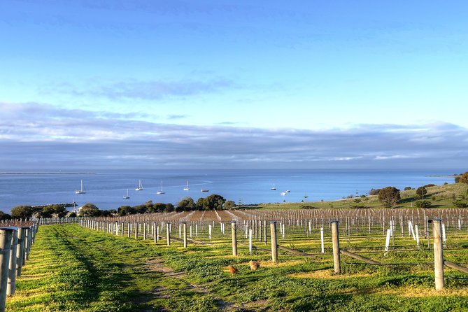 Kangaroo Island Shore Excursion Tasting Tour - For Cruise Ship Passengers Only - A food and drink tour with real island variety