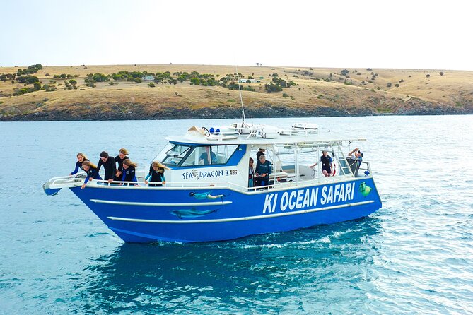 Kangaroo Island - Swim with Dolphins/Seals/Coastal Snorkel - Quick points before you book