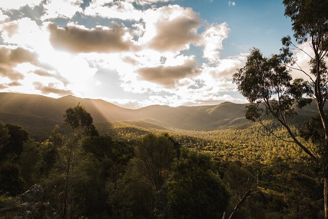 Kangaroos and Koala Experience Tour - Is $106.87 a fair price?