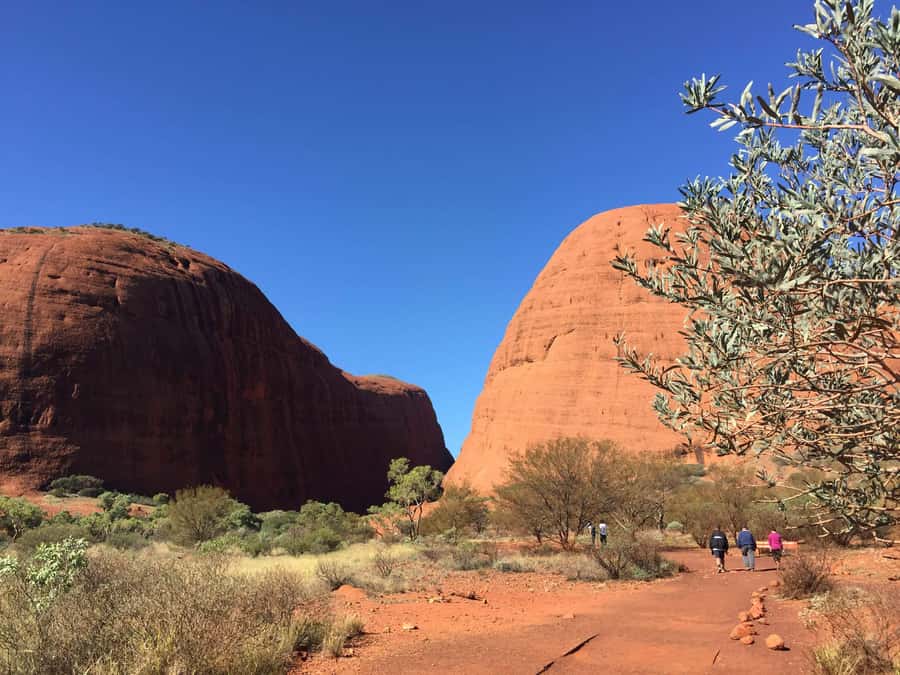 Kata Tjuta: Small Group Sunrise Tour with Picnic Breakfast - Why sunrise works so well at Kata Tjuta