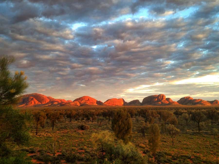 Kata Tjuta: Small Group Sunrise Tour with Picnic Breakfast - Transport, group size, and timing