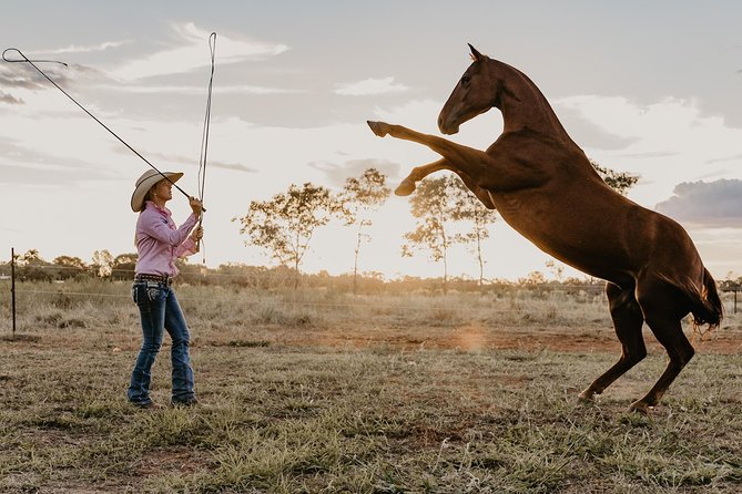 Katherine Outback Experience Show Ticket - Meeting station life through horses, dogs, and music