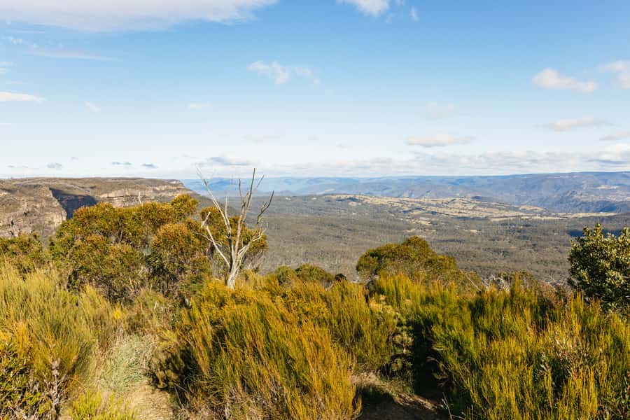 Katoomba: Lyrebird Hop-On Hop-Off and Scenic World Pass - Why this pass works so well in the Blue Mountains