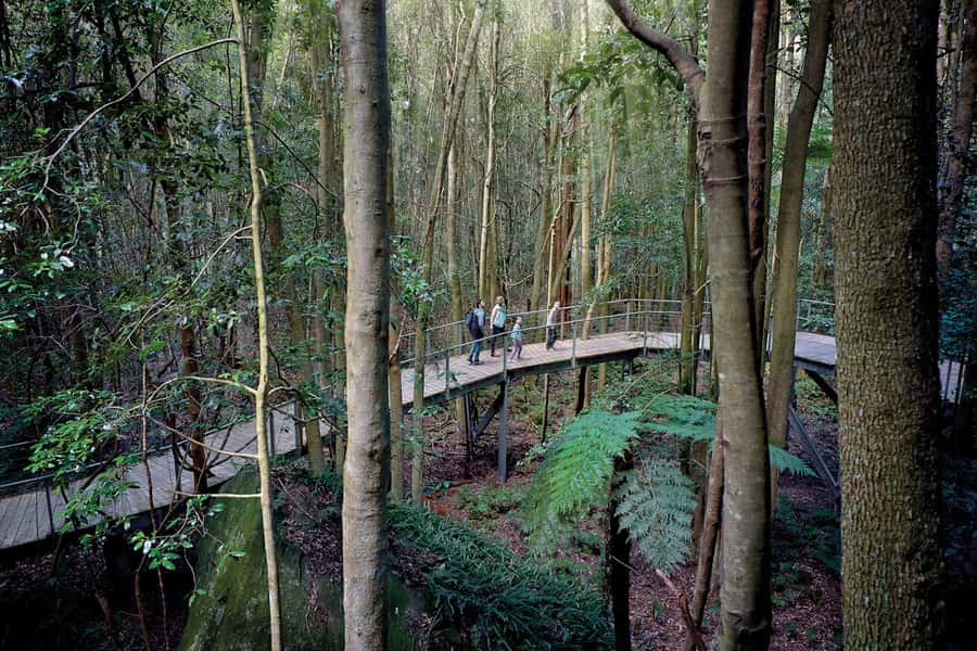Katoomba: Scenic World 1-Day Unlimited Discovery Pass - Food, parking, and accessibility