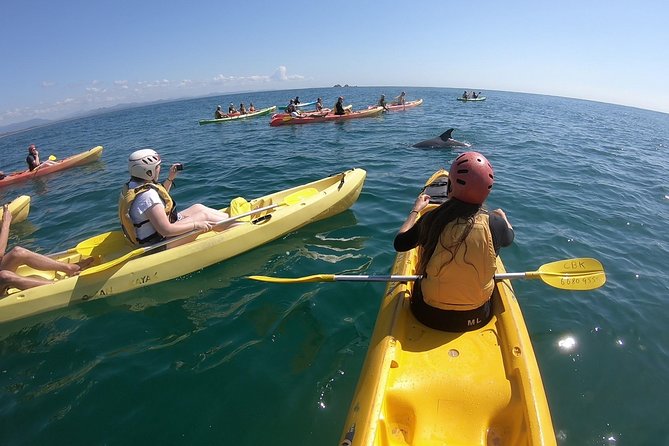 Kayaking with Dolphins in Byron Bay Guided Tour - Key points to know before booking