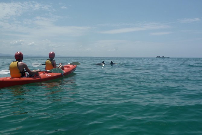 Kayaking with Dolphins in Byron Bay Guided Tour - Starting at Lawson Street and preparing for the sea