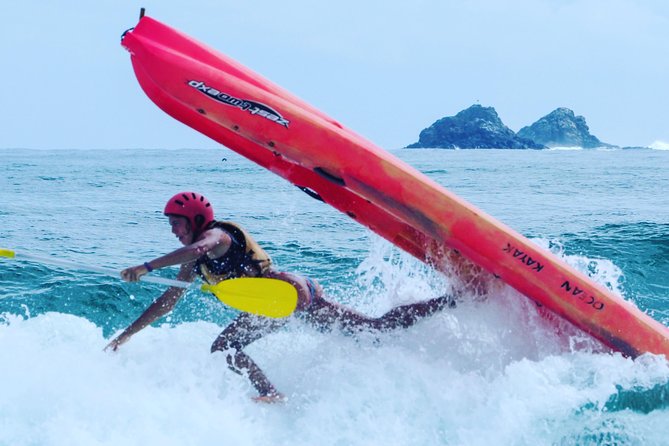 Kayaking with Dolphins in Byron Bay Guided Tour - Turtles, whales, and the luck of the water
