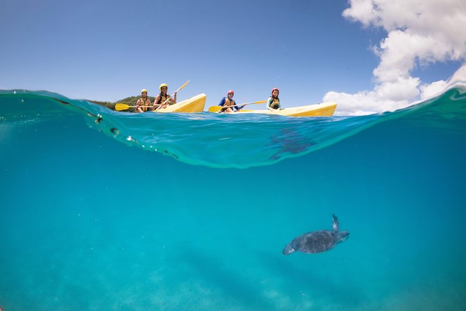 Kayaking with Dolphins in Byron Bay Guided Tour - How wet and strenuous is the tour?