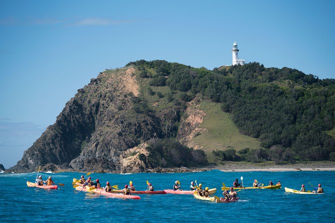 Kayaking with Dolphins in Byron Bay Guided Tour - Paddling through Cape Byron Marine Park
