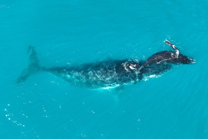 Kimberley Day Cruise Full Day Tour Departing Broome - What the crew adds to the day