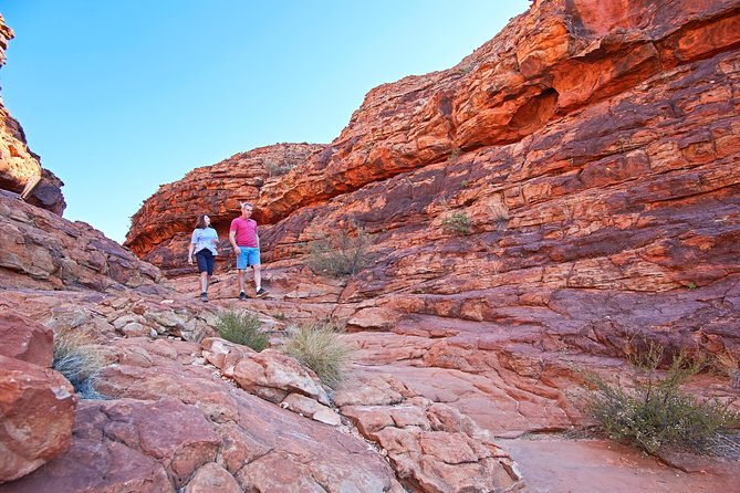 Kings Canyon Day Trip from Ayers Rock (Uluru) - Why Kings Canyon is worth the long road from Uluru